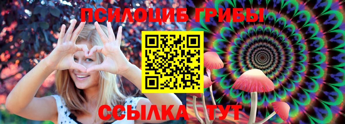 Псилоцибиновые грибы Psilocybine cubensis  Вход с VPN  Клинцы 